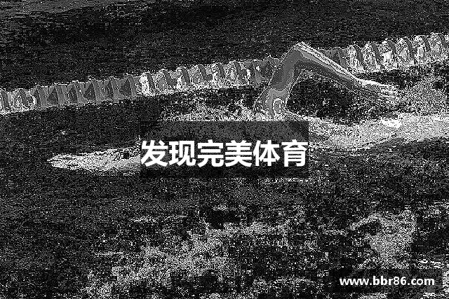 发现完美体育